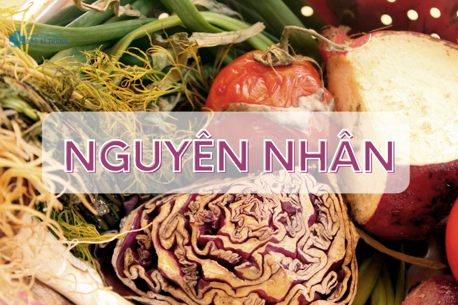 Thực phẩm bị hư, ôi thiu